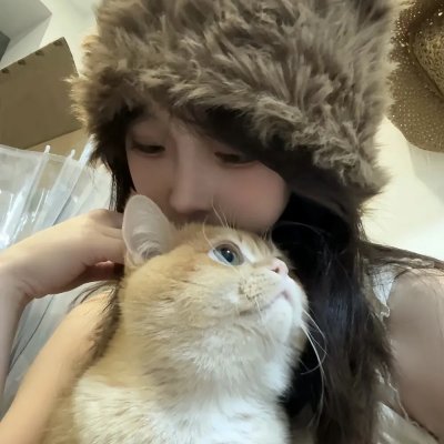 好莱坞狗日子
